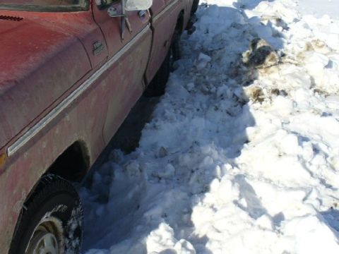 1978 Ford F-150 - Side view of a 1978 Ford F-150 pickup truck covered in snow.