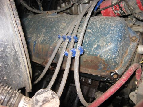 1979 Ford Bronco - Close-up view of an engine's blue valve cover, showing spark plug wires and a red hose.