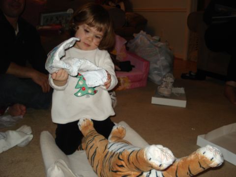 2000 Ford Crown Victoria - A young child holds a diaper and looks down at a stuffed tiger lying on the floor.