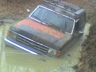 1988 Ford Bronco photo