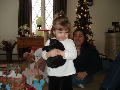 2000 Ford Crown Victoria - A young girl holds a black cat in front of a Christmas tree. A woman is kneeling behind her, and a man is lying on the floor next to a bask…