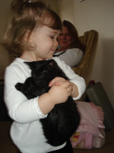 2000 Ford Crown Victoria - A young girl holds a black kitten while a woman smiles in the background.