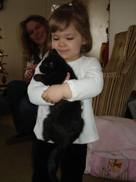 2000 Ford Crown Victoria - A young girl holds a black kitten while an adult woman smiles in the background.