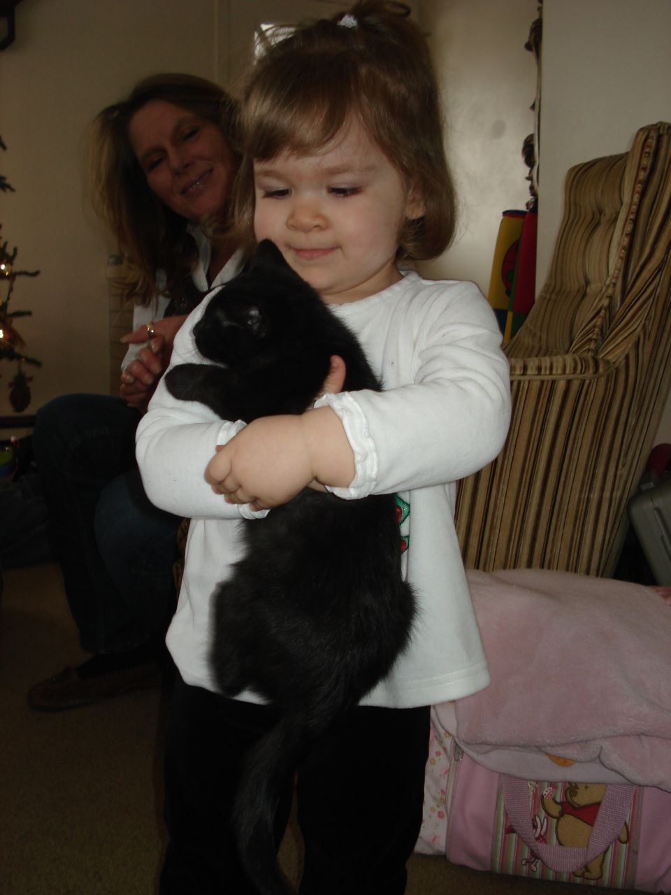 A young girl holds a black kitten.