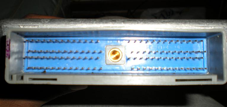 Engine control module connector with blue plastic housing and gold pins