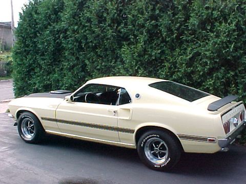1969 Ford Torino - Cream 1969 Ford Mustang Mach 1 with black accents parked outdoors.
