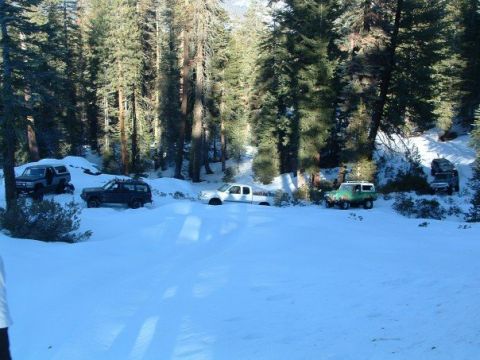 1989 Ford Bronco - Multiple vehicles are parked in a snowy forest clearing.