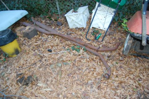 1994 Ford Bronco - A pair of rusty exhaust pipes are visible on the ground, surrounded by fallen leaves and debris.