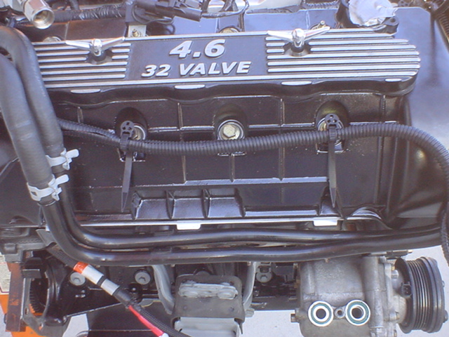 The color combo I intend to powercoat my coil covers. Pic courtesy of MM.net member FordNut.