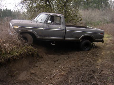 1979 Ford F-150 photo