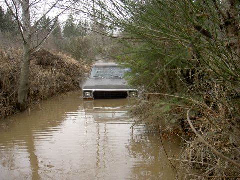 1979 Ford F-150 photo