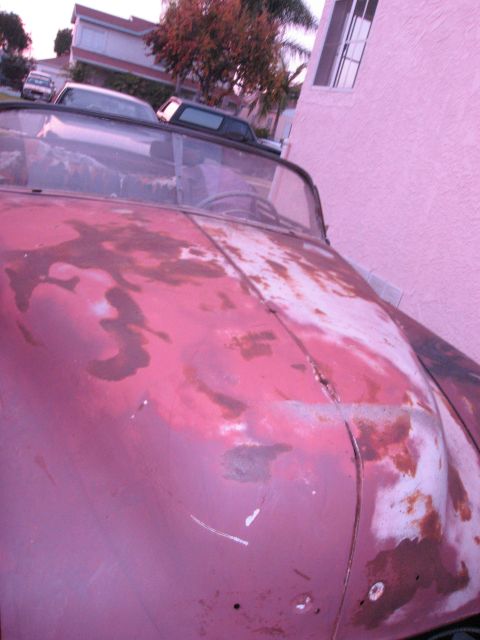 1986 Ford Bronco - Hood of a vintage car shows significant rust and wear, with a pink wall in the background.
