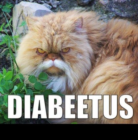 1988 Mercury Grand Marquis - A fluffy orange cat with a distinctive white mustache stares intensely, with the word DIABEETUS superimposed on the image.