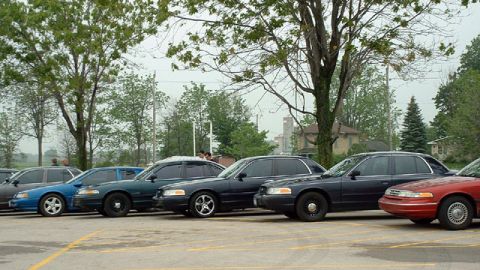 2000 Ford Crown Victoria - A line of Ford Crown Victorias are parked in a lot, with trees and houses in the background.