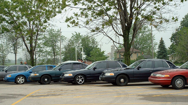 Several dark Ford Crown Victorias and one blue Ford Crown Victoria parked side-by-side, viewed from the side