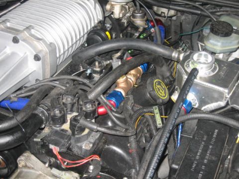 1996 Ford Thunderbird - Close-up view of a modified engine bay a prominent supercharger and various custom plumbing components.