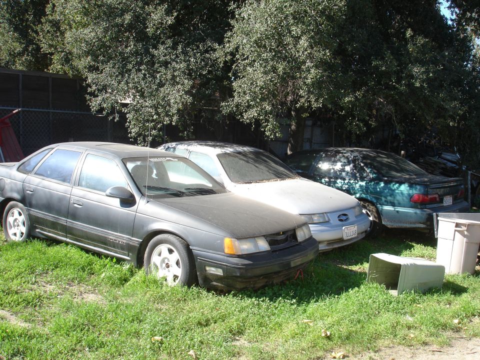Three sedans parked in a grassy area with trees.