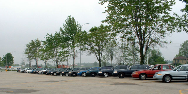 Line of dark Ford Crown Victoria police cars parked side-by-side