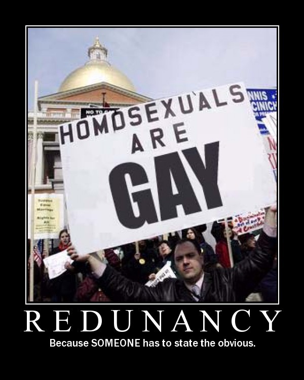Demotivational poster of a protester holding a sign, text REDUNANCY