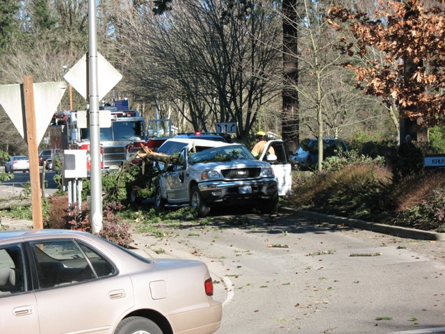 Damaged silver Ford F-150 pickup truck with a tree branch on it, fire truck and emergency personnel at scene.