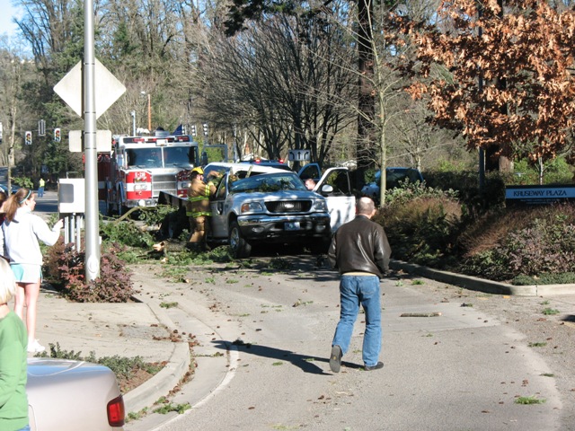 Silver pickup truck and fire truck at accident scene with fallen trees.