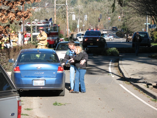 Blue Ford Focus parked on road with fallen tree and emergency vehicles.