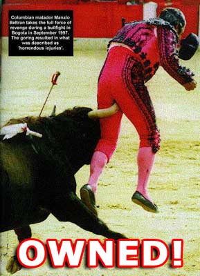 1990 Ford Bronco - A bullfighter is gored by a bull during a bullfight in September 1997.