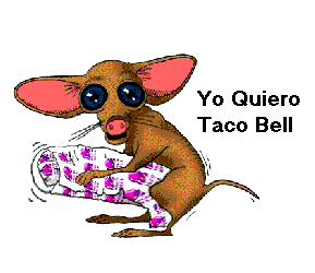 1990 Ford Bronco - A chihuahua with large ears holds a blanket and has text that says "Yo Quiero Taco Bell".