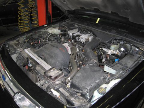 1991 Ford LTD Crown Victoria - Photograph of an engine bay with the hood raised, not a technical document.