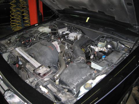 1991 Ford LTD Crown Victoria - Photograph of an open engine bay on a shop lift, not a technical document.