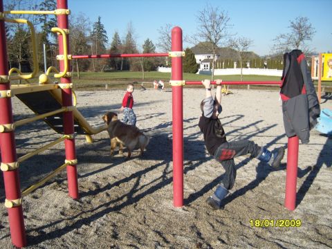 1989 Ford Bronco - A young boy swings on a monkey bar in a playground while a dog walks nearby. Another child stands by a slide in the background.