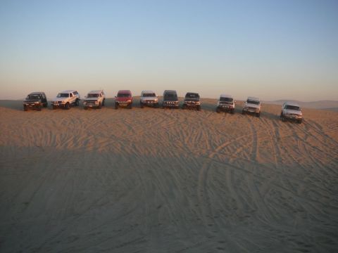 1988 Ford Bronco - A line of SUVs and off-road vehicles are parked on a sandy dune under a clear sky. The vehicles are facing forward, with tire tracks visibl…