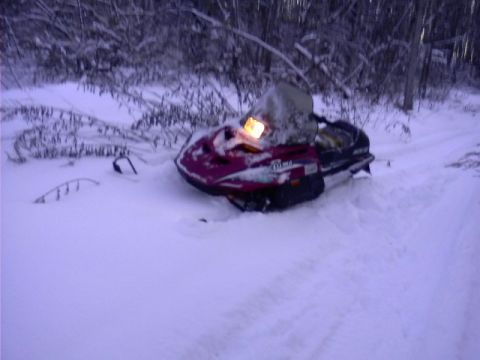 1996 Arctic Cat Puma photo