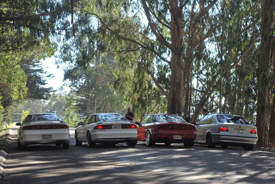 Four sports cars parked on a road under tall trees.