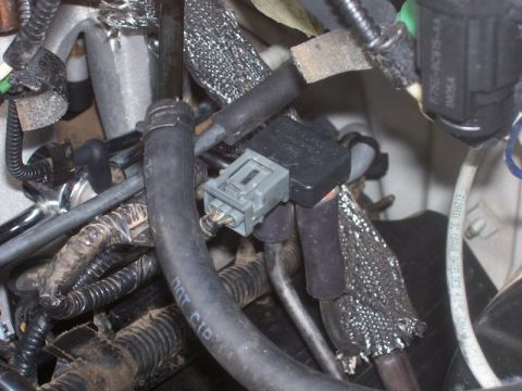 2007 Ford Mustang - Photograph of a vehicle wiring harness and connector, not a wiring diagram.