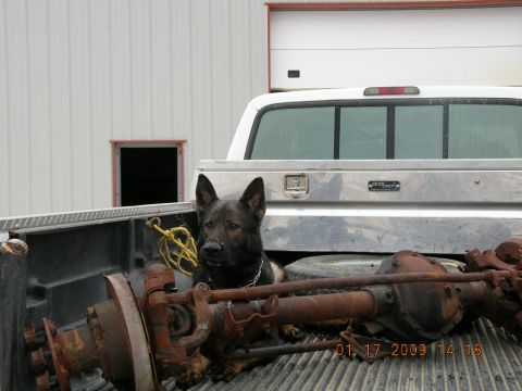 1997 Ford F-250