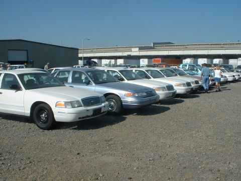 1999 Ford Crown Victoria - Another row. A total of 60 CVs were auctioned off.