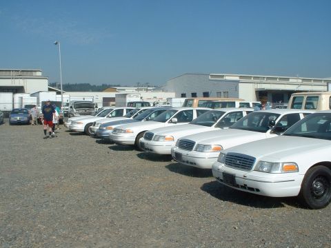 1999 Ford Crown Victoria - Multiple white Ford Crown Victoria police cars are parked in a lot under a clear blue sky.