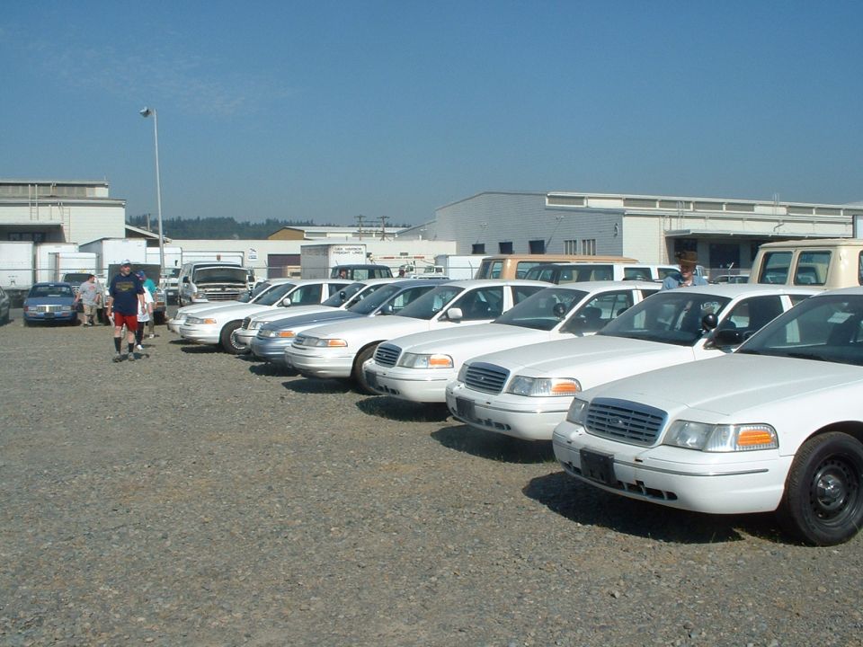 Row of white ex-fleet Ford Crown Victoria sedans on gravel auction lot