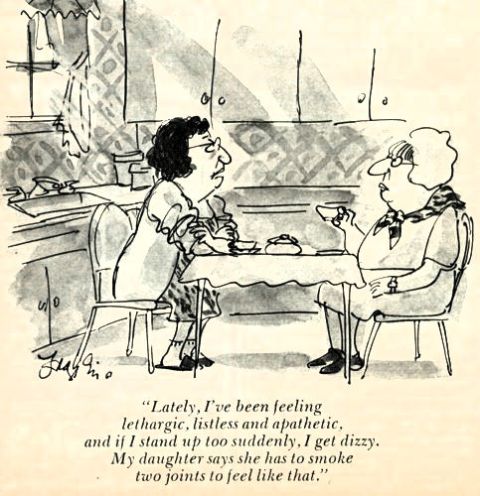 2006 Ford E350 - A cartoon depicts two women conversing at a kitchen table, with one sharing her feelings of lethargy and dizziness.