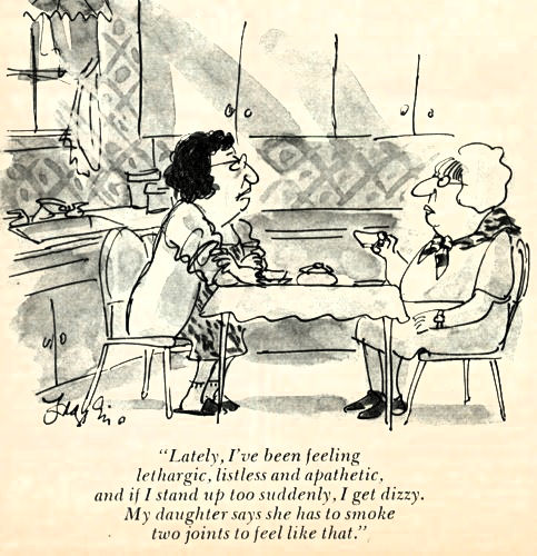 cartoon of two women sitting at a table, one is talking about feeling lethargic and dizzy