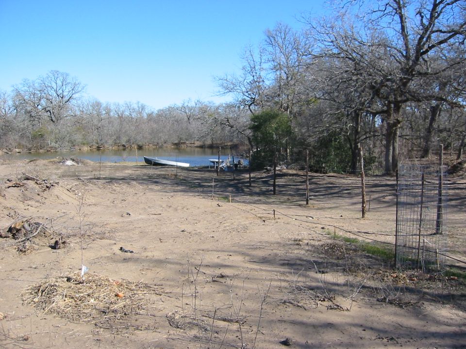 Boat on a lake shore with trees and a dock