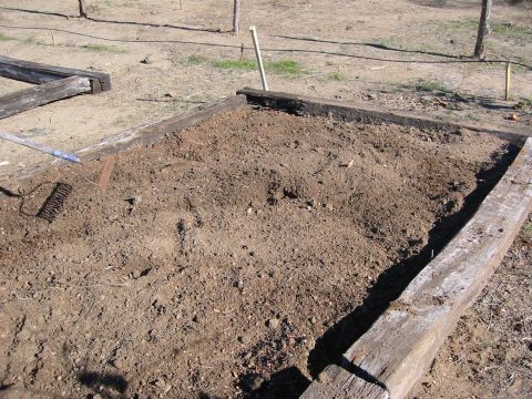 1996 Ford Bronco - A prepared garden bed with wooden borders and loose soil, ready for planting.