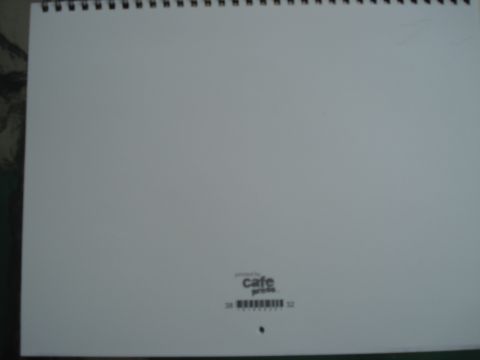 2000 Ford Crown Victoria - A blank white document with a spiral binding and a small logo at the bottom.