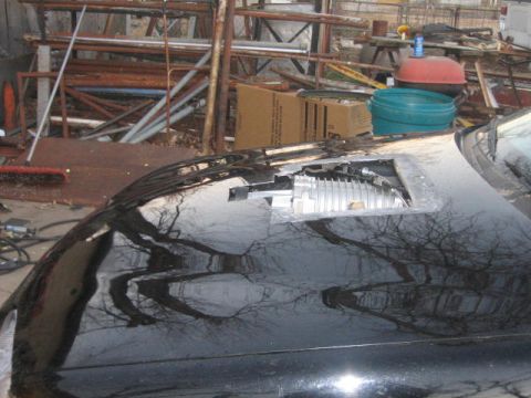 1996 Ford Thunderbird - A black car hood shows an exposed engine component with reflections of bare tree branches.