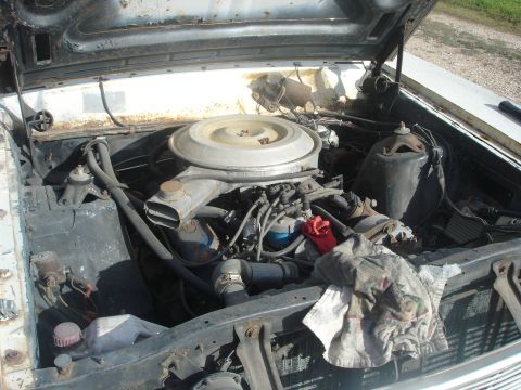 1966 Ford Ranchero - Locked up 302