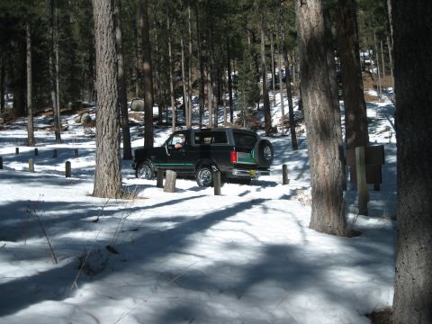 1993 Ford Bronco - A black 1993 Ford Bronco is parked in a snowy forest with pine trees.