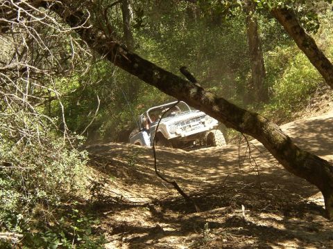 1989 Ford Bronco - A 1978 Ford Bronco navigates a dusty, wooded trail with one wheel lifted.