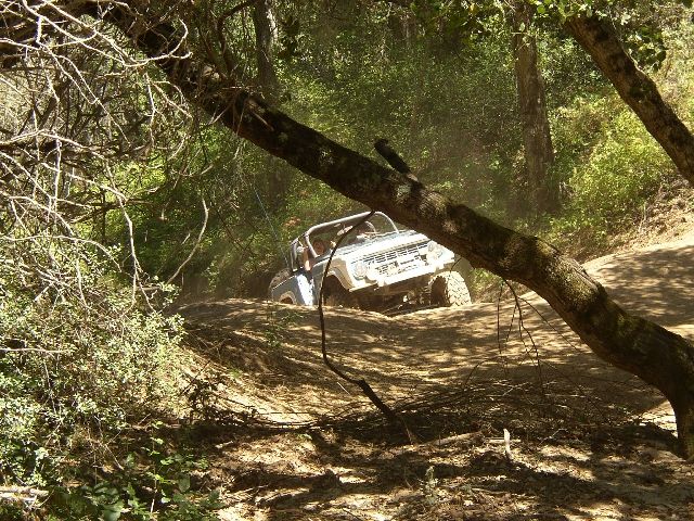 White open-top Bronco on a dusty forest trail framed by a fallen tree trunk