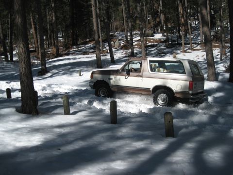 1993 Ford Bronco - A two-tone Ford Bronco navigates a snowy, wooded path with a dog inside.